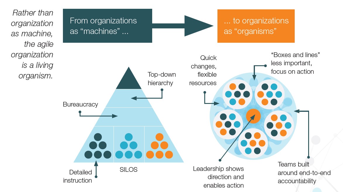 The Agile Operating Model: Why It Is Perfect for Construction Companies