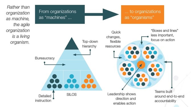 The agile organization is dawning as the new - The 5 Trademarks of Agile Organizations - McKinsey Dec 2017